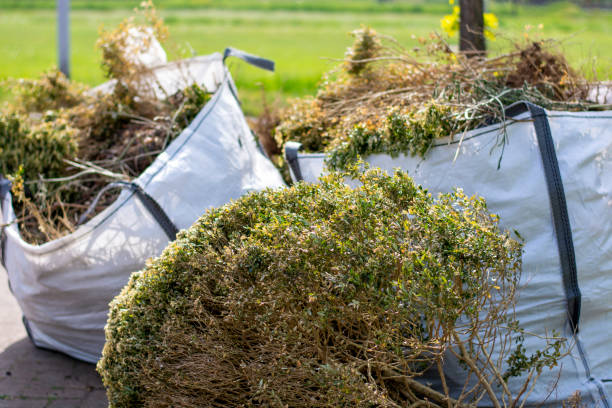 Best Trash Removal Near Me  in Campti, LA